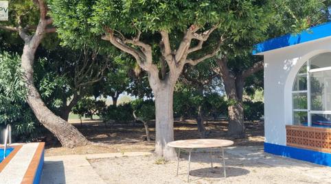 Foto 4 de Finca rústica en venda a Costa Norte, Castellón