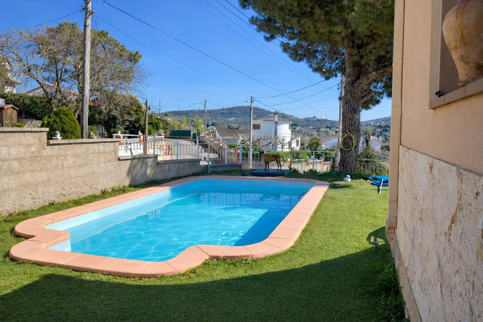 Piscina de Casa o chalet de alquiler con opción a compra en Maçanet de la Selva con Jardín privado, Terraza y Piscina