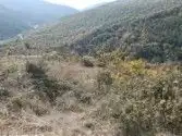 Land for sale in Aisa