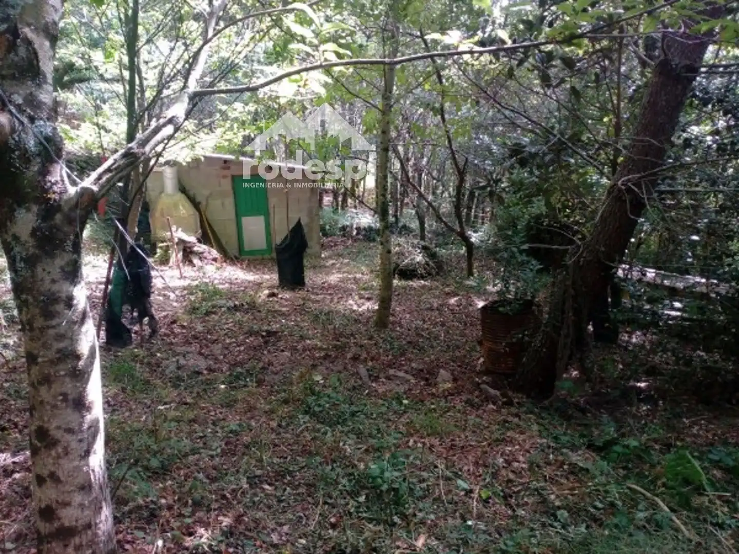 Terreny rústic en venda a A Cañiza, imagen 3