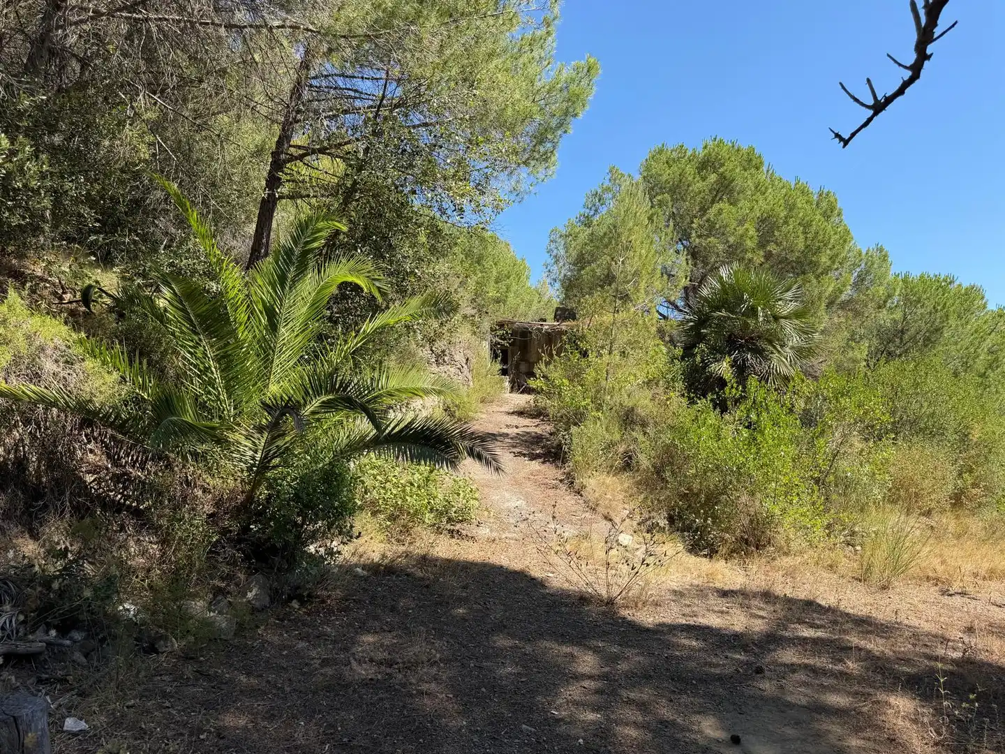 Country house with pool for sale in Cami de La Pedrera, imagen 11