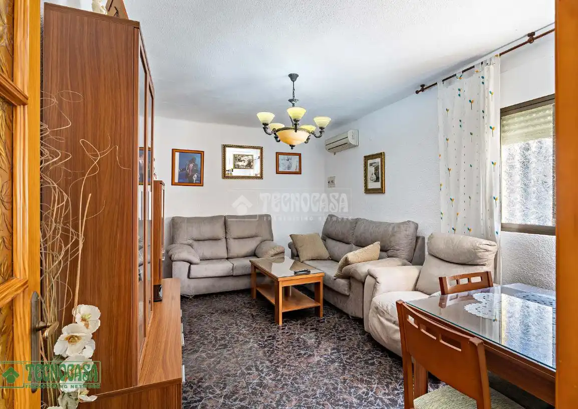 Living room of Detached homes for sale in El Ejido