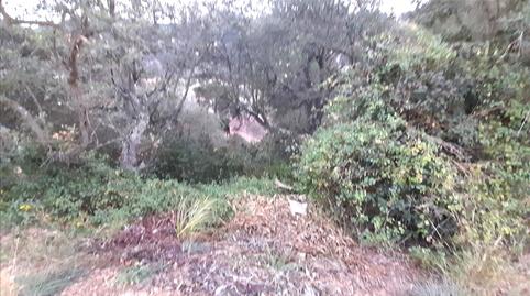 Foto 4 de Residencial en venta en Senyera, 28, -1, Lloret Residencial - Montlloret, Lloret de Mar