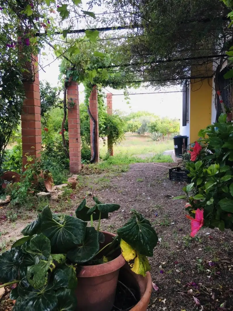 Casa o xalet en venda a Valladolises y Lo Jurado