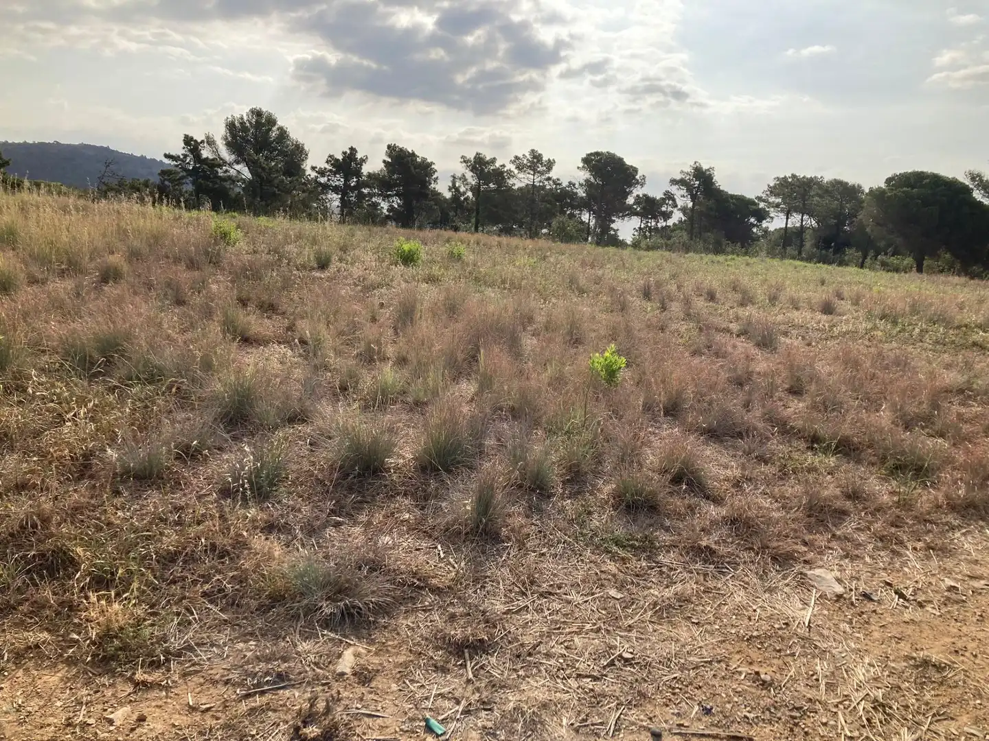 Terreno en venta en Pineda de Mar