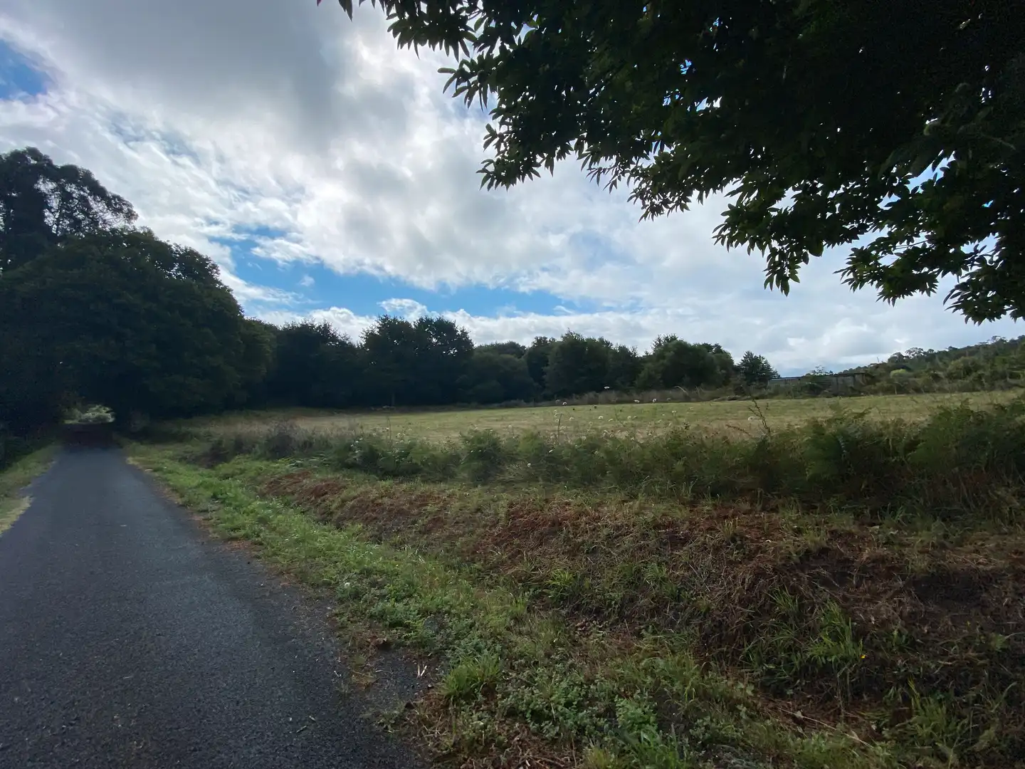 Terrains et parcelles à vendre à Teo, imagen 7