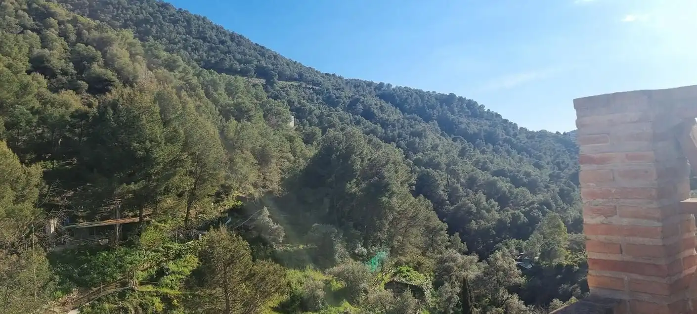 Detached homes for sale in Cómpeta  with Terrace and Swimming Pool