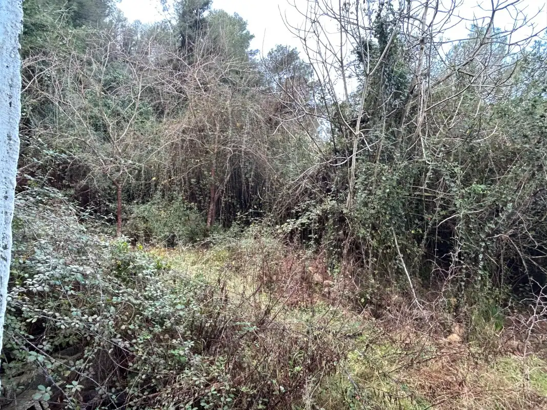Rural land for sale in Partida Tancaes, imagen 6
