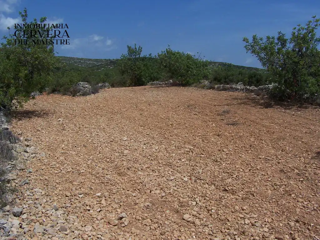 Rural land for sale in Cervera del Maestre, imagen 5