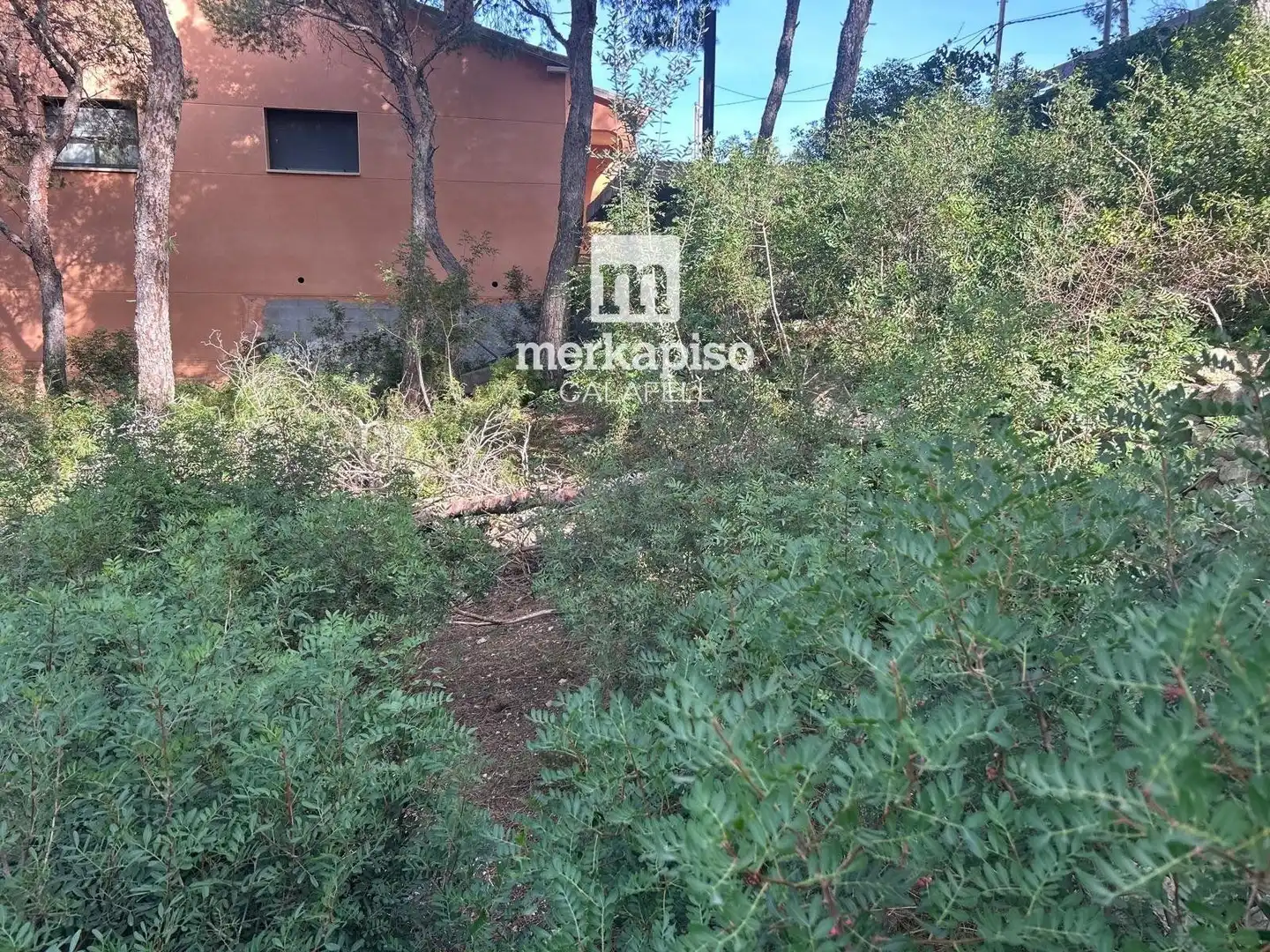 Rural land for sale in Segur de Calafell, imagen 15