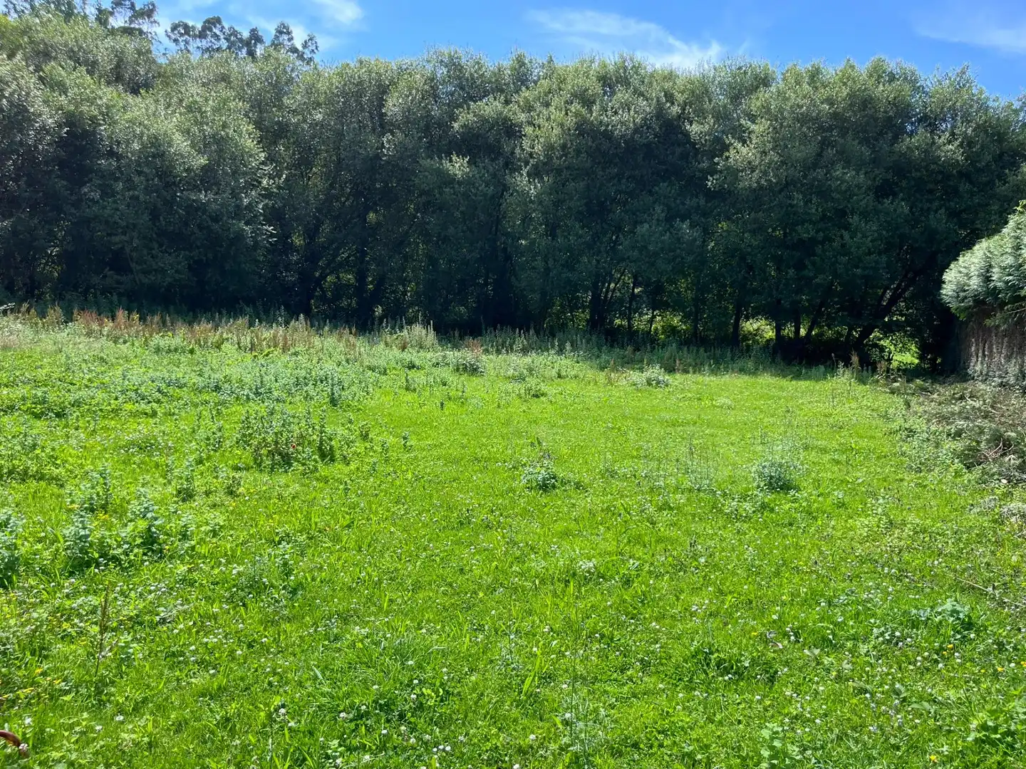 Residential for sale in Reocín