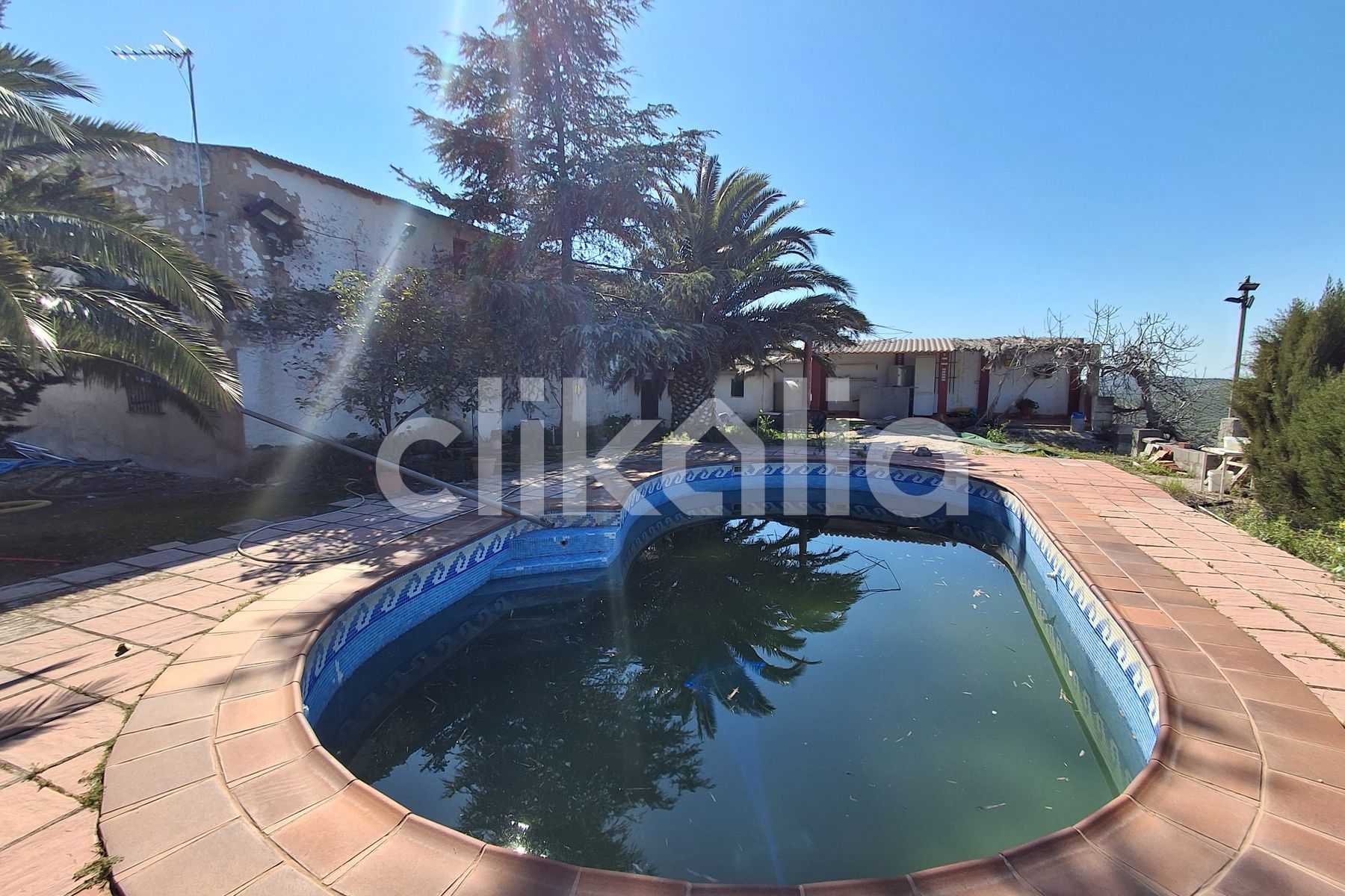 Piscina de Casa o chalet en venta en Arjona con Terraza y Piscina