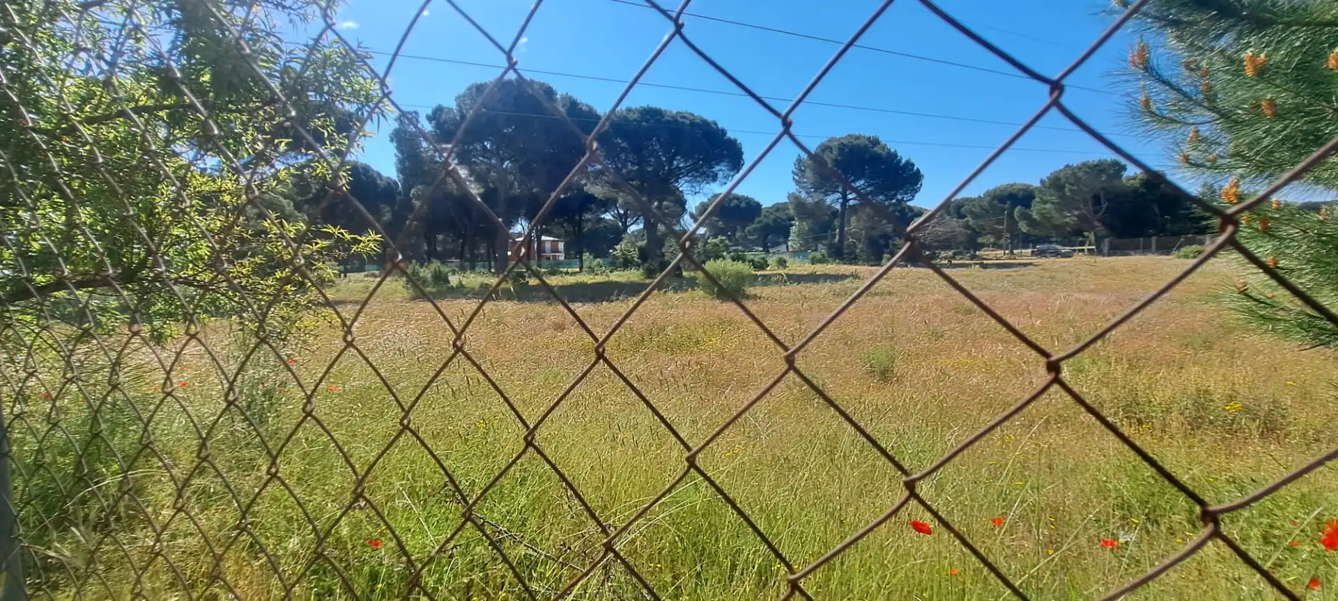 Terreni e lotti in vendita a Camino Cabezada 1, imagen 14