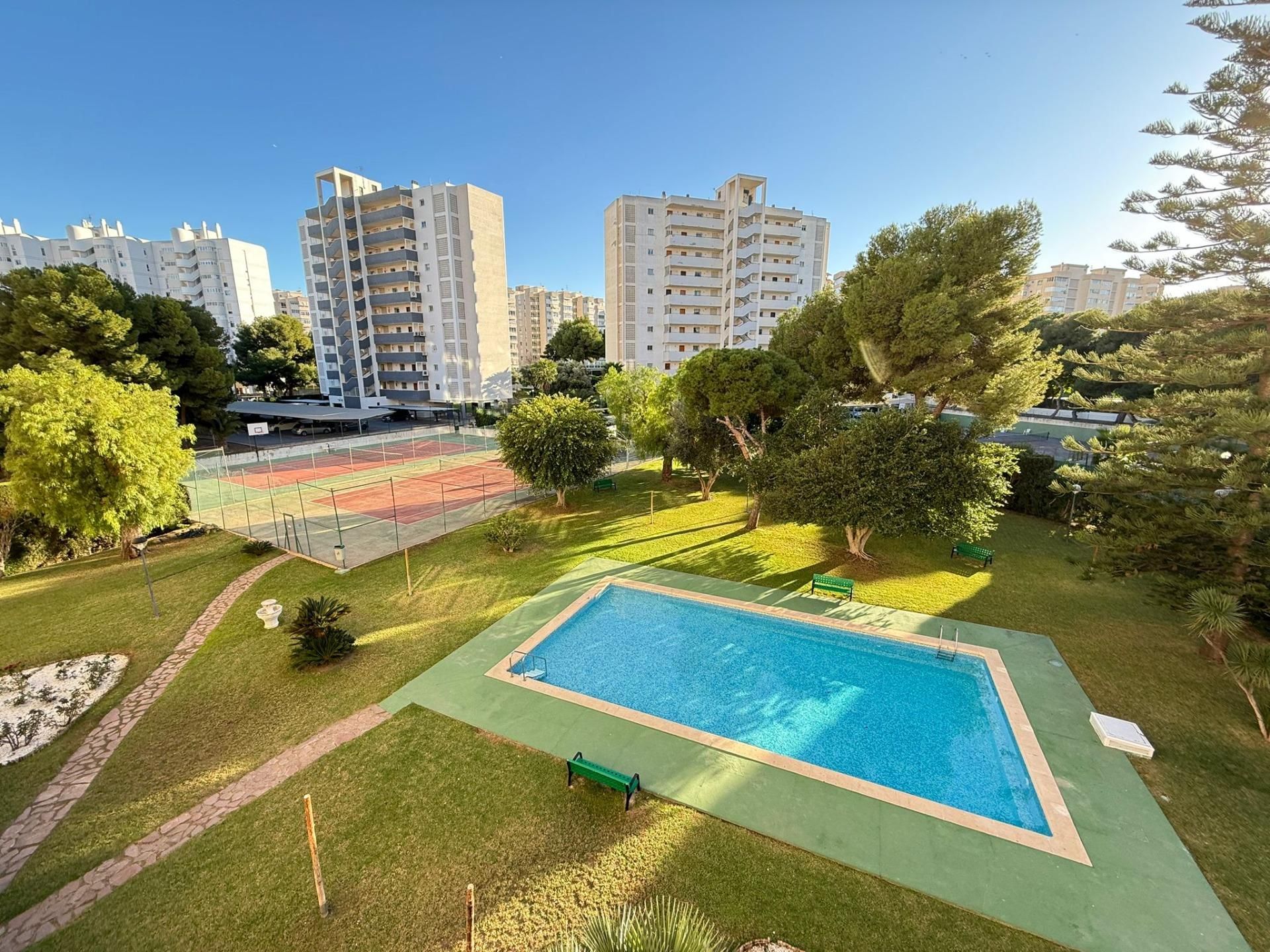 Swimming pool of Flat for sale in Alicante / Alacant  with Private garden, Terrace and Community pool