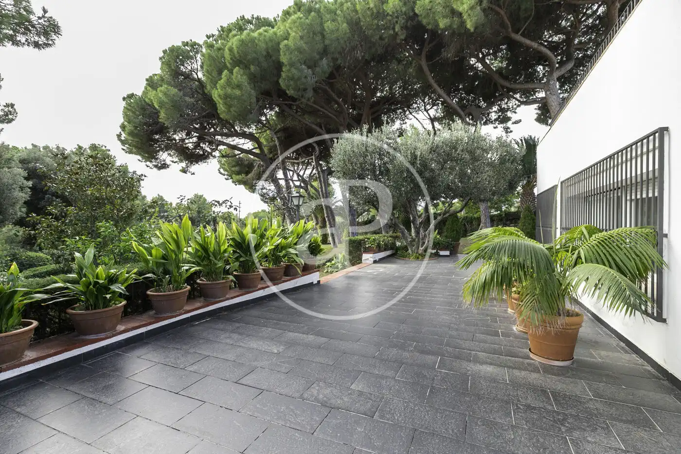 Jardí de Casa o xalet en venda en Sant Andreu de Llavaneres amb Aire condicionat, Calefacció i Jardí privat