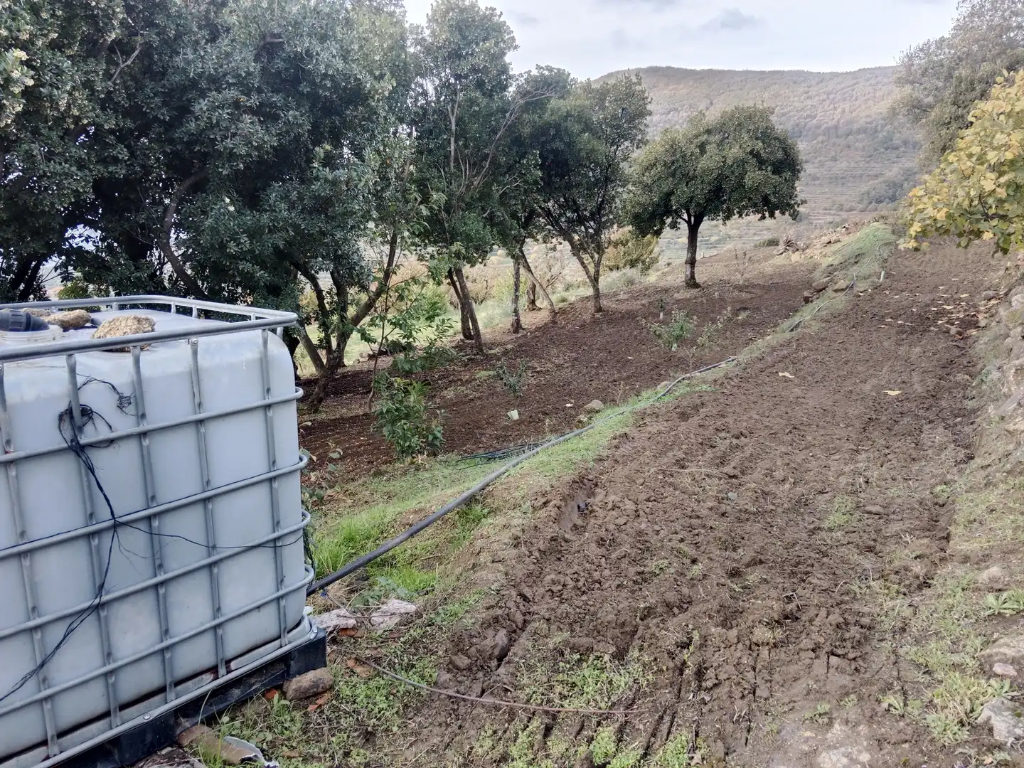 Terreni e lotti in vendita a Pasarón de la Vera, imagen 28