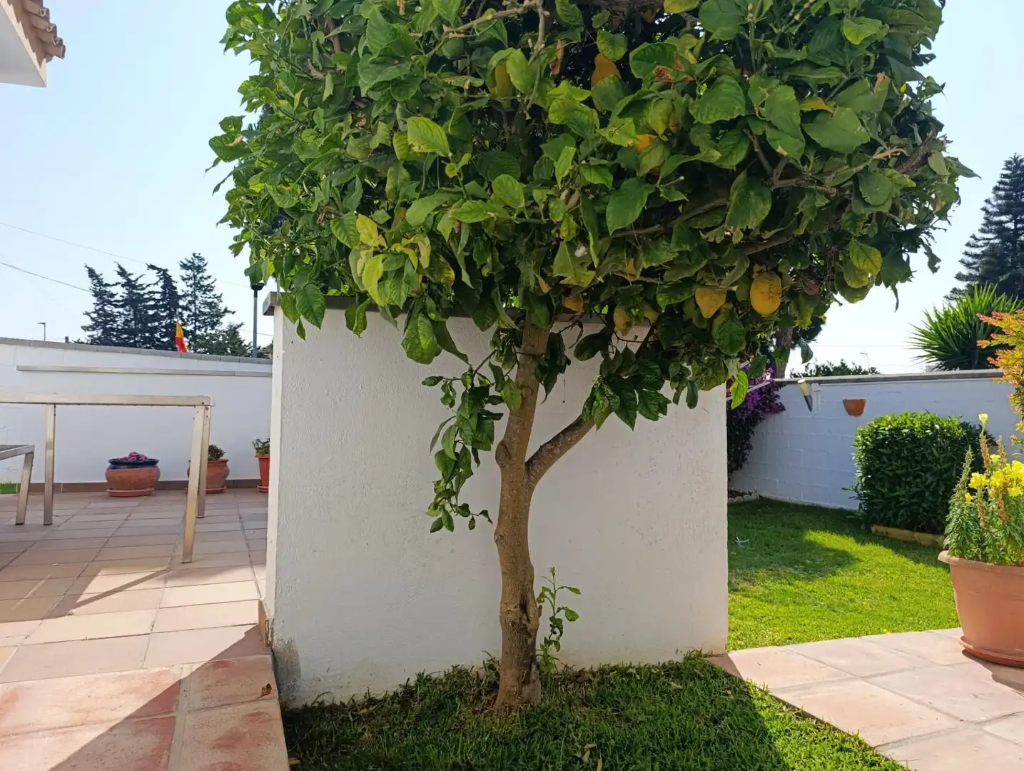 Jardín de Casa o chalet en venta en Chiclana de la Frontera con Aire acondicionado, Calefacción y Jardín privado