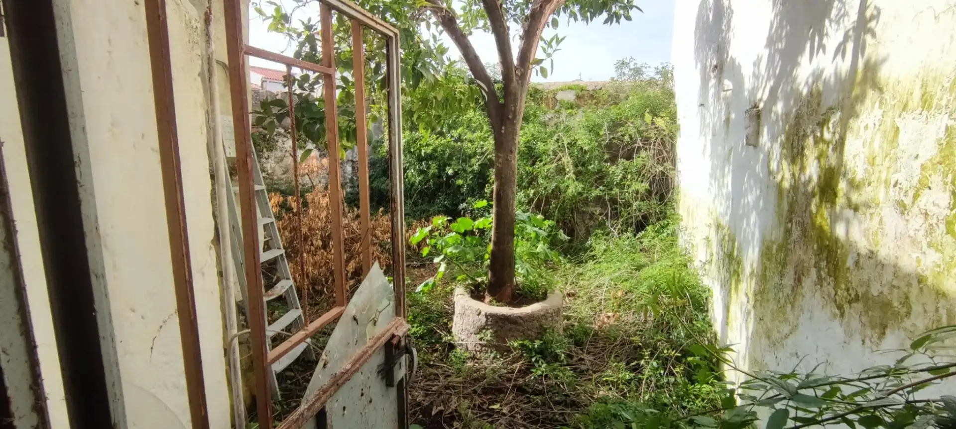 Maison à vendre à Aldea del Cano, imagen 3