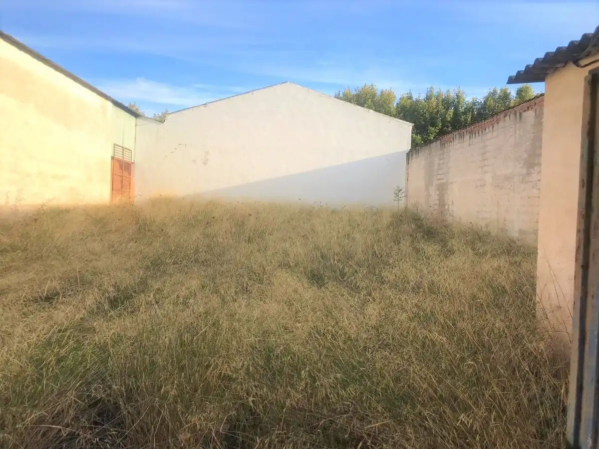 Industrial buildings for sale in Calle RAMON FROILAN, Santa María - Pio XII