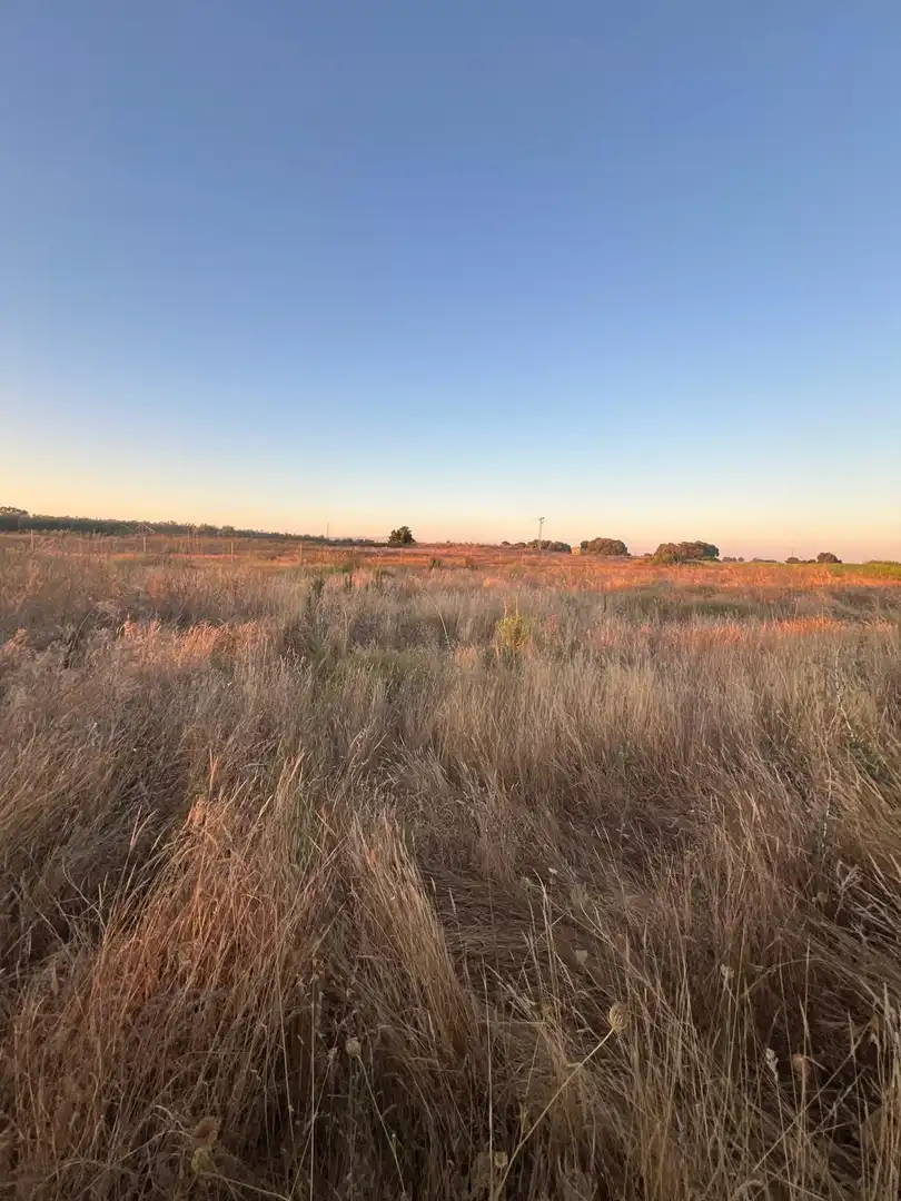 Terreny rústic en venda a Pedanías Norte, imagen 14