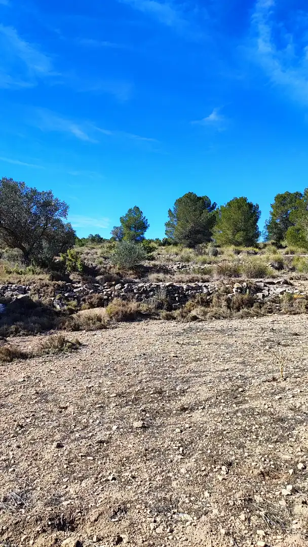 Terreno en venta en Monóvar  / Monòver