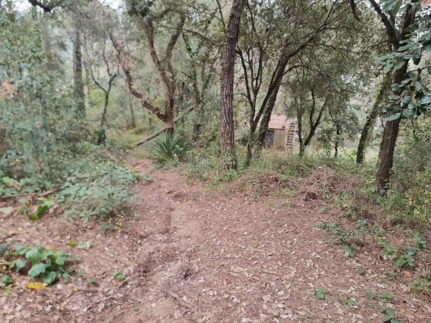 Residential for sale in Canyamars