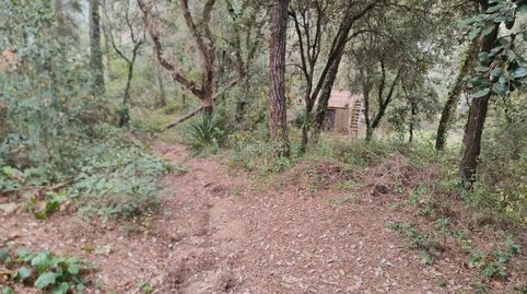 Photo 3 of Residential for sale in Canyamars, Dosrius