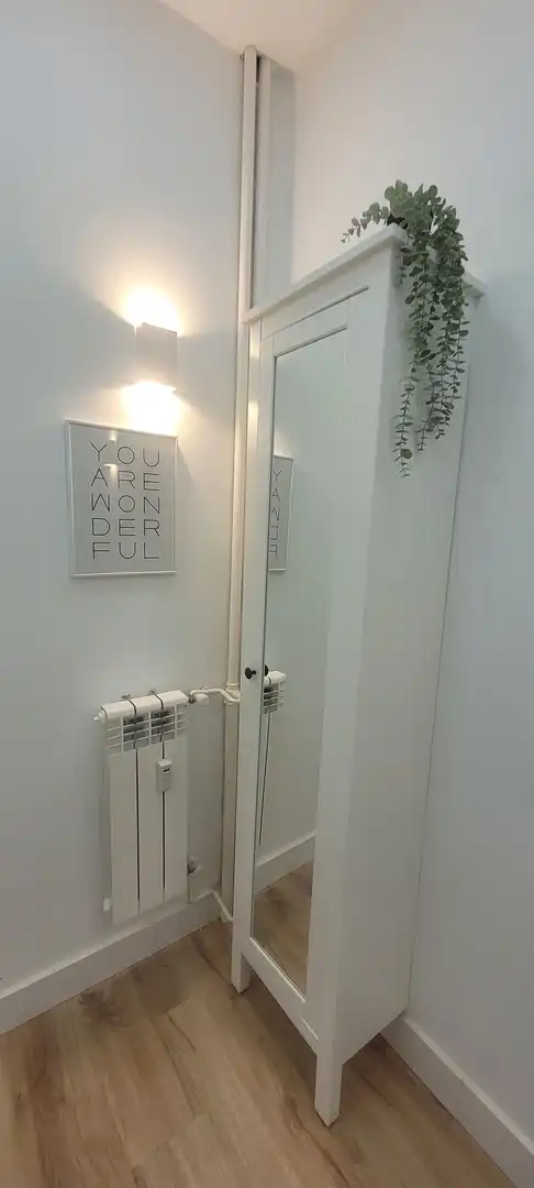 Flat with lift to rent in BENITO GUTIÉRREZ, imagen 21