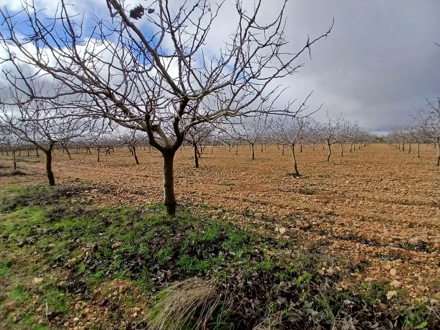 Rural land for sale in Carretera Solana, imagen 26