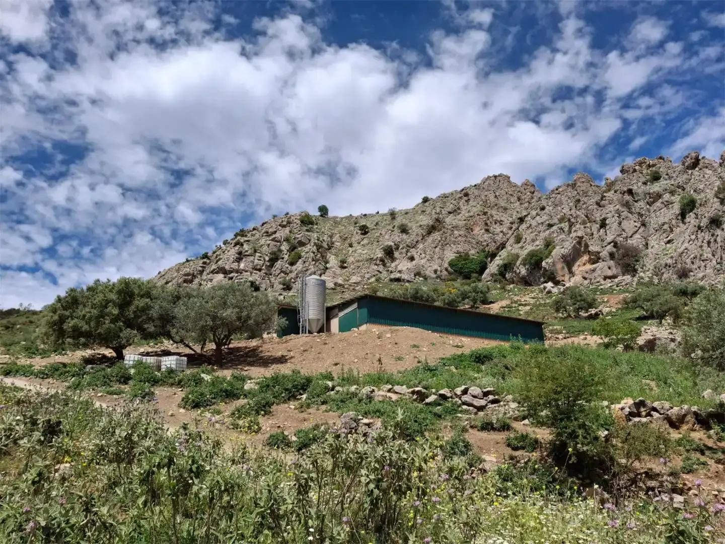 Vista exterior de Finca rústica en venda en Alfarnate