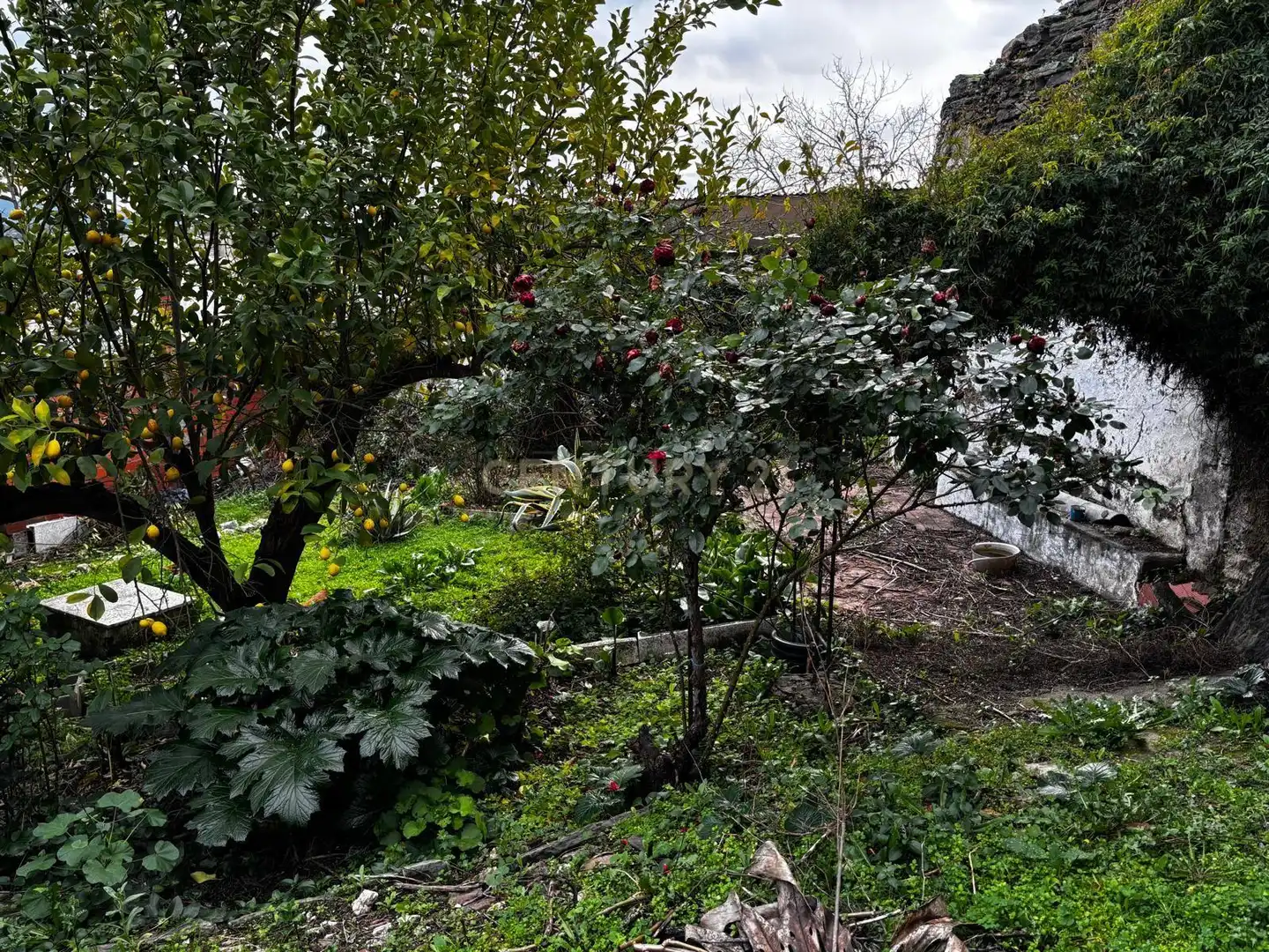 Jardín de Casa o chalet en venta en Torrejoncillo con Aire acondicionado, Jardín privado y Trastero