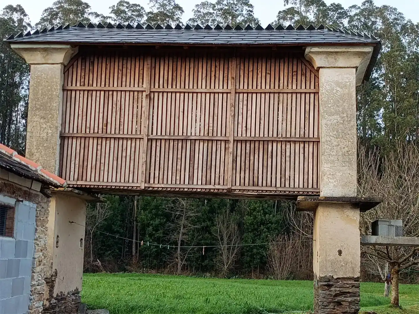 Vista exterior de Finca rústica en venda en Lourenzá