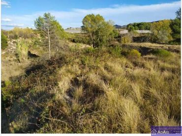 Terreno rústico en venta en Partida Benieto 185