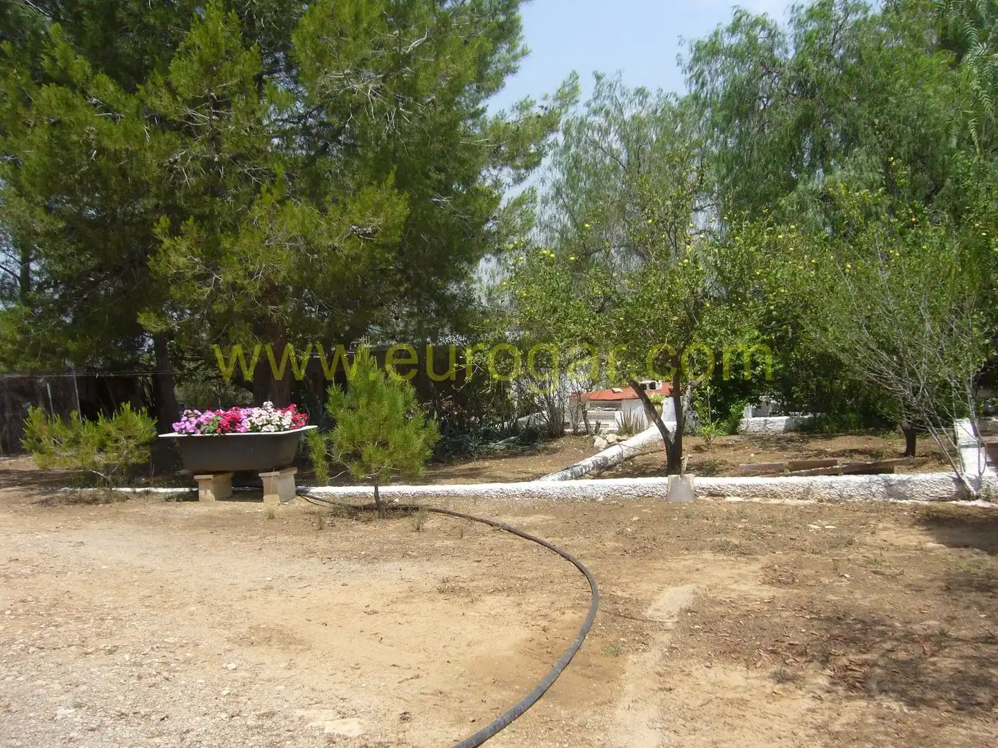 Jardí de Casa o xalet en venda en Chiva amb Jardí privat, Terrassa i Traster