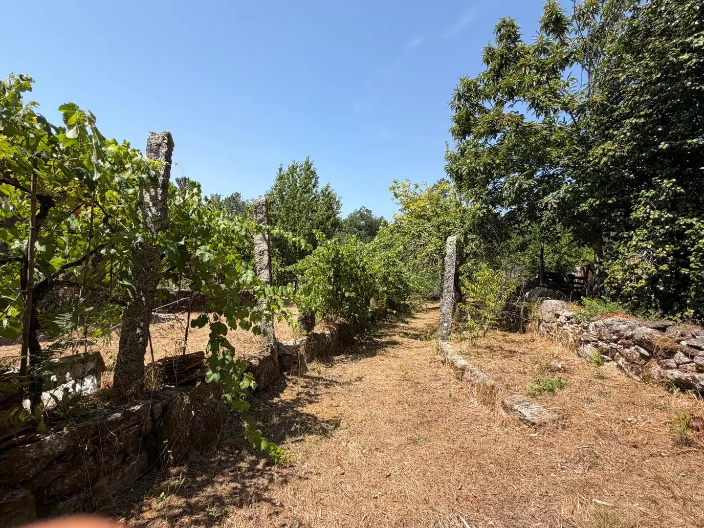 Casa o xalet en venda en Salvaterra de Miño amb Jardí privat i Parquet