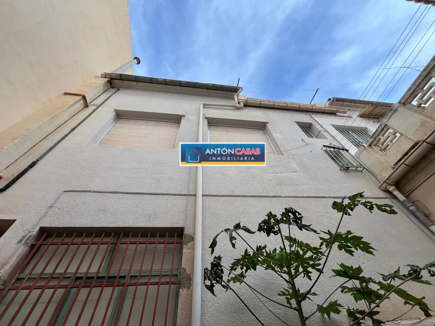 Vista exterior de Casa o chalet en venta en Novelda con Terraza, Trastero y Amueblado