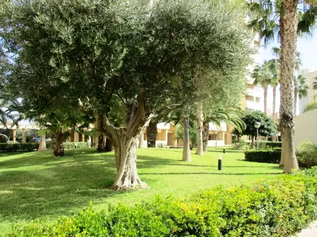 Außenansicht von Wohnungen zum Verkauf in El Campello mit Klimaanlage, Heizung und Parkett