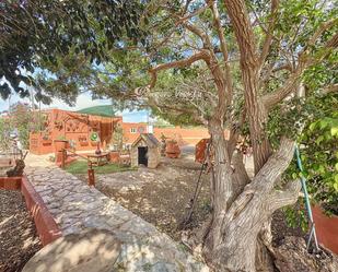 Jardí de Casa o xalet en venda en Antigua amb Jardí privat, Piscina i Moblat