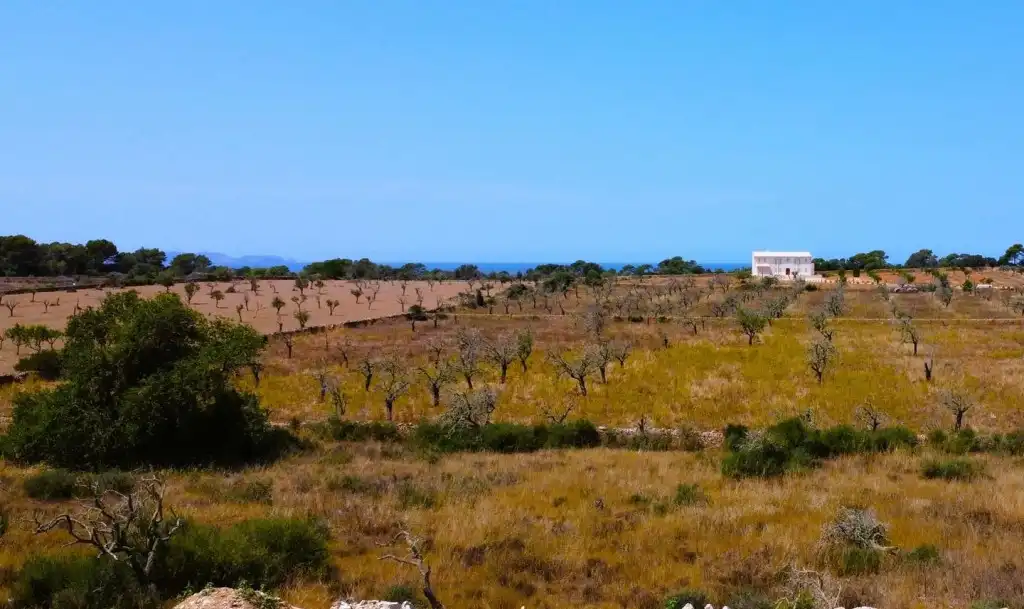 Finca rústica en venda en Santanyí amb Aire condicionat, Calefacció i Jardí privat