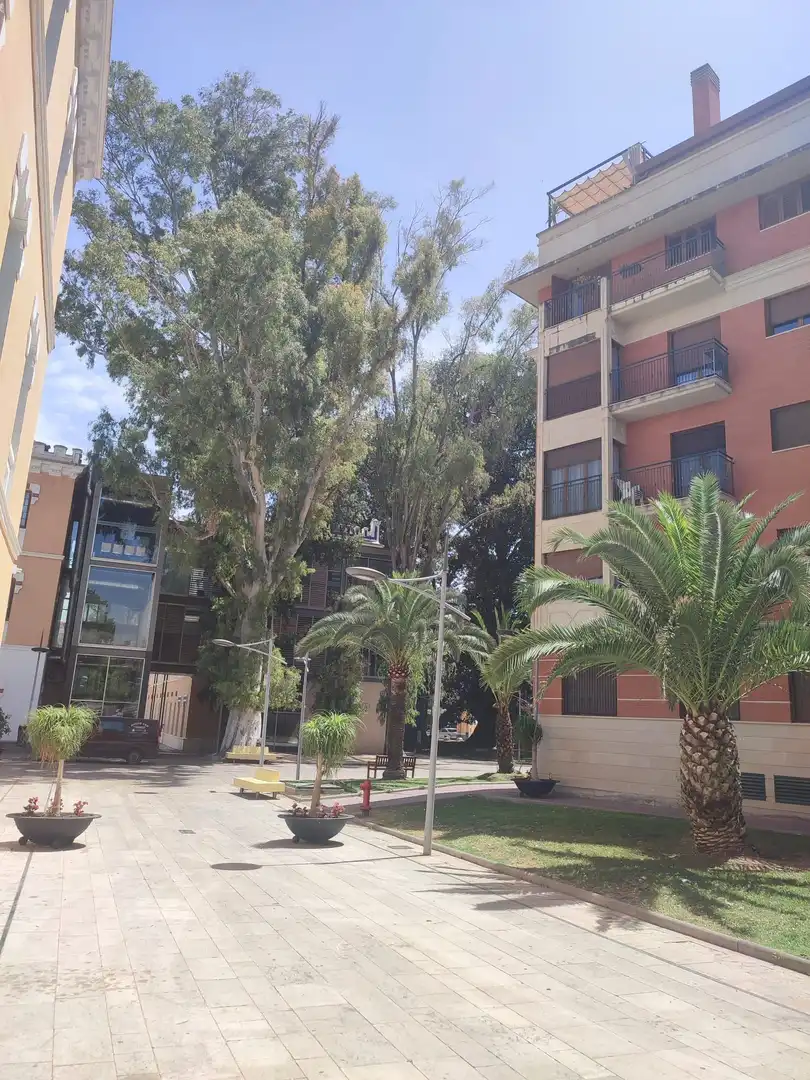Vista exterior de Pis de lloguer en Murcia amb Aire condicionat, Calefacció i Moblat