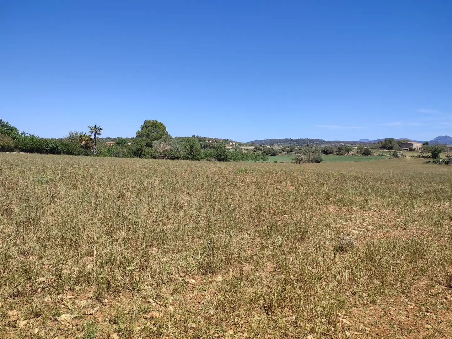 Rural land for sale in Vilafranca de Bonany, imagen 13