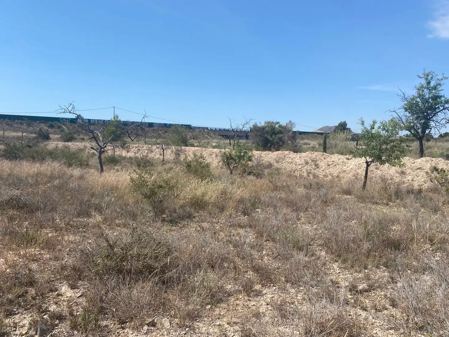 Land for sale in San Vicente del Raspeig / Sant Vicent del Raspeig