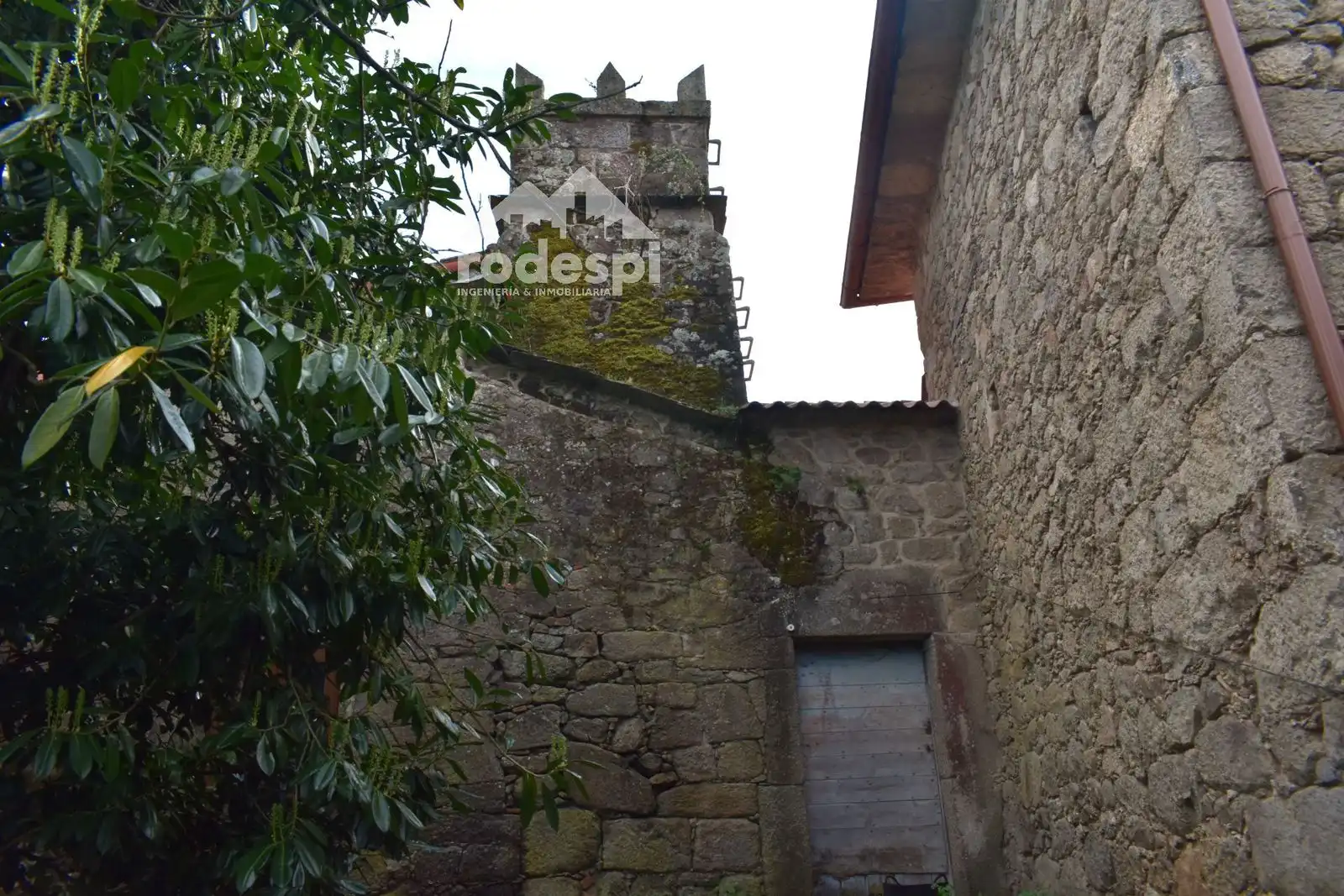 Exterior view of Buildings for sale in Pantón