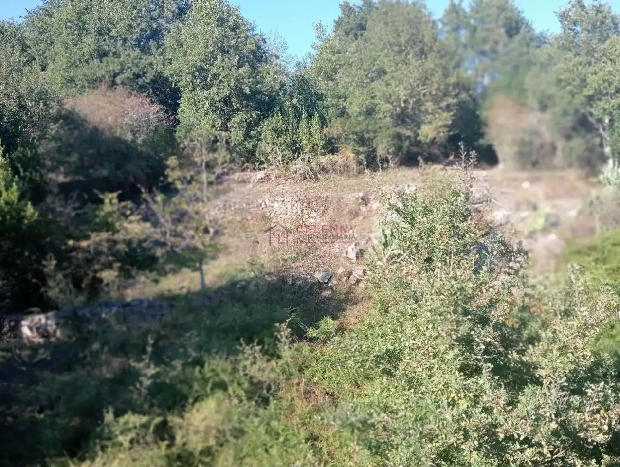 Country house with garden for sale in San Rosendo, imagen 9