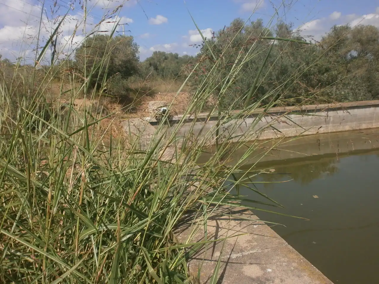 Rural land for sale in Constantí, imagen 20