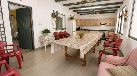 Foto 4 de Finca rústica en venta en Polígono Polígono 14 Paraje 96 Fanecada, 350, Alcanar, Tarragona