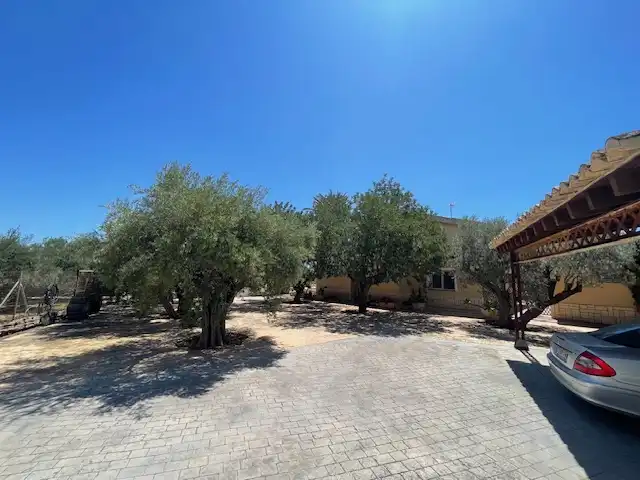 Houses for sale in Calle Partida del Raspeig, Villamontes - Boqueres