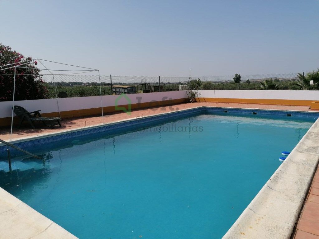 Swimming pool of House or chalet for sale in Badajoz Capital