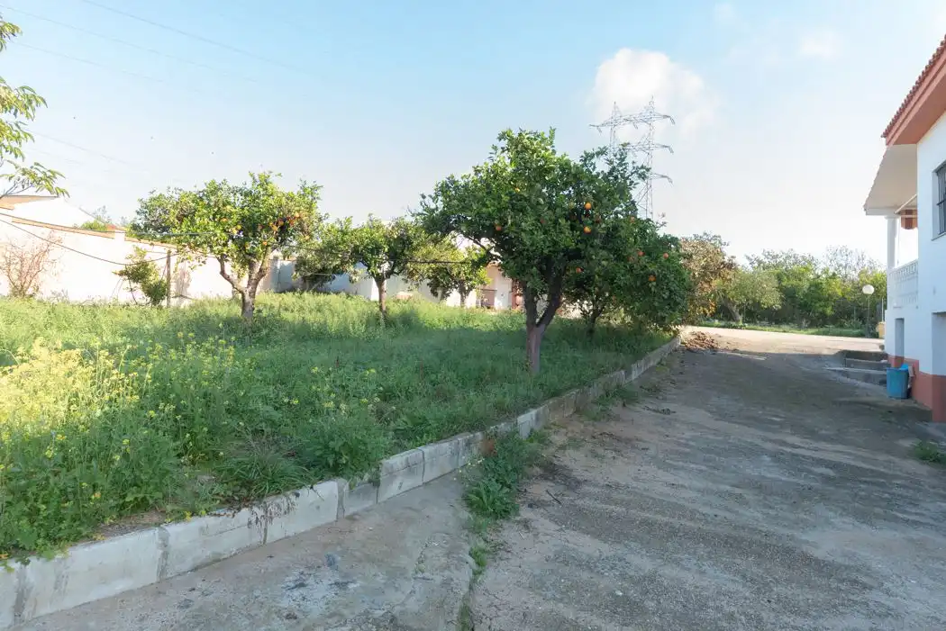 Casa o chalet en venta en Alcalá de Guadaira con Piscina