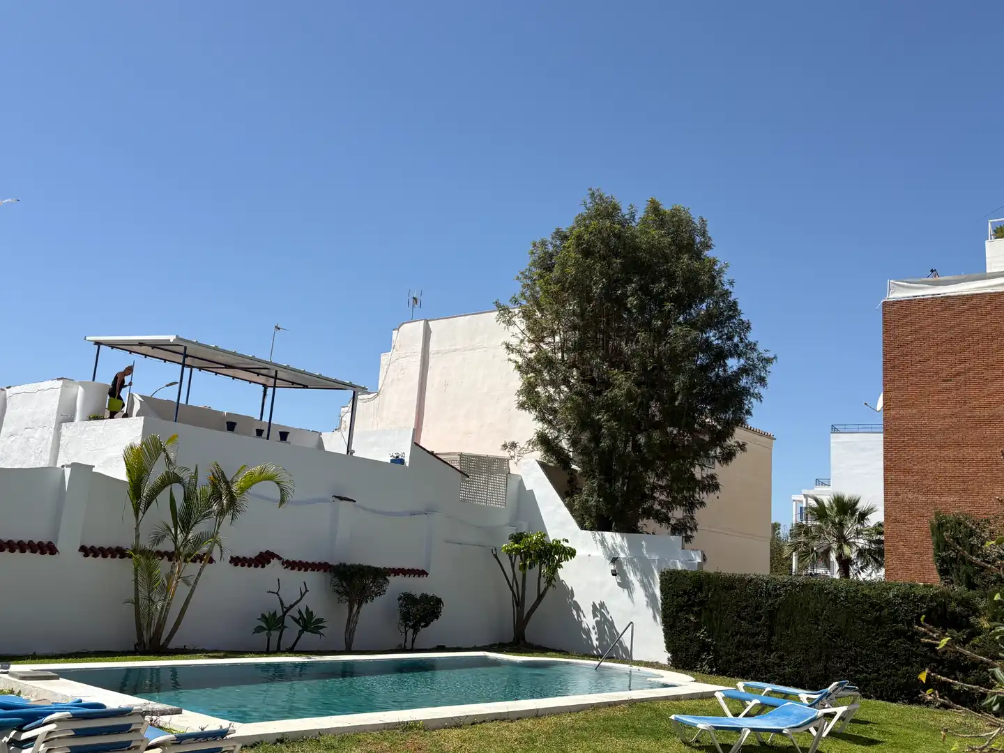 Schwimmbecken von Wohnung zur Miete in Málaga mit Gemeinschaftspool